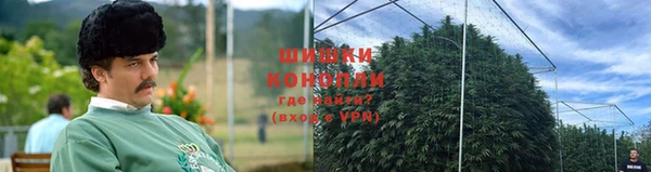 шишки Беломорск