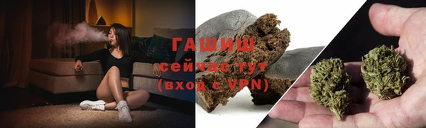 шишки Беломорск