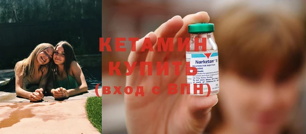 шишки Беломорск