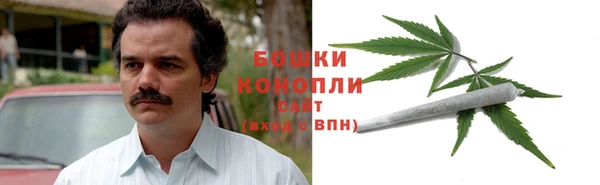 шишки Беломорск
