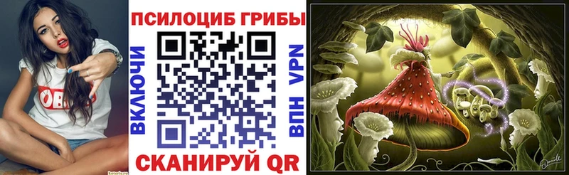 Галлюциногенные грибы Psilocybe  Купить  Сергач 